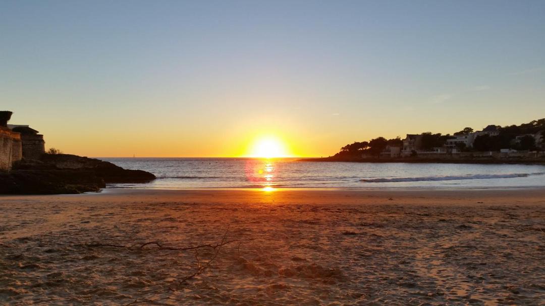 Photo of Others in Saintes