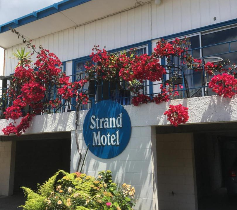 Photo of Others in Tauranga