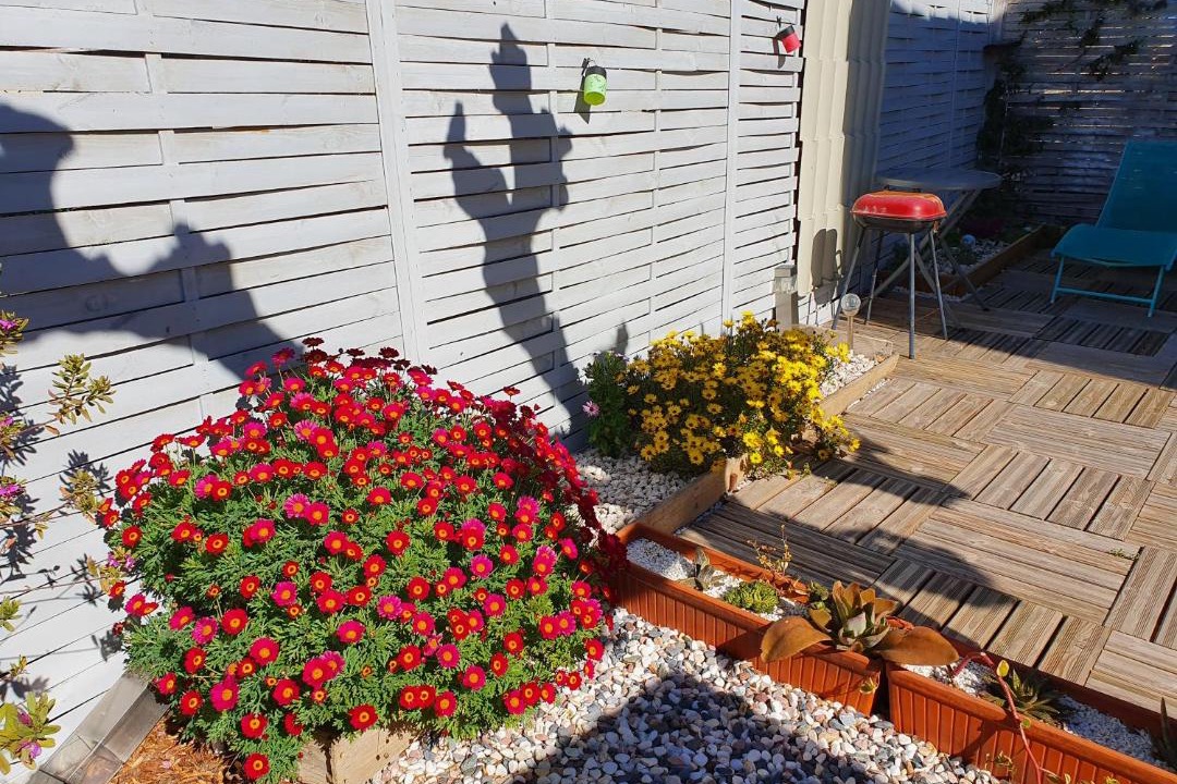 Photo of Others in Frontignan