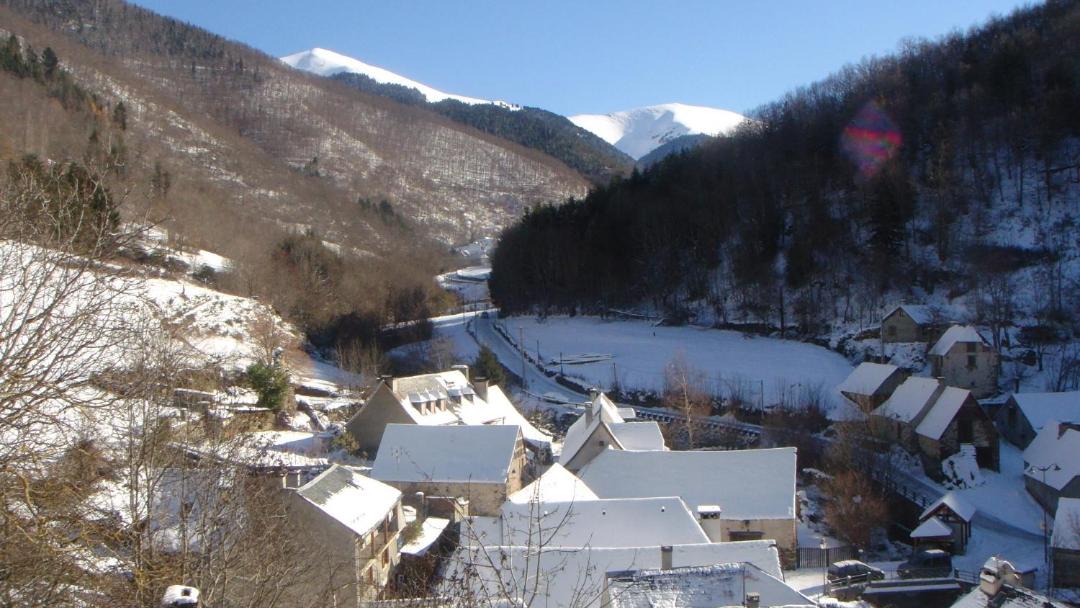 Photo of Others in Bareilles