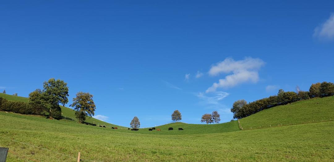 Photo of Others in Schwarzenberg