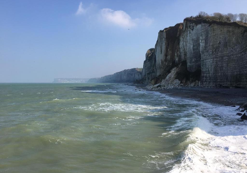 Photo of Others in Yport