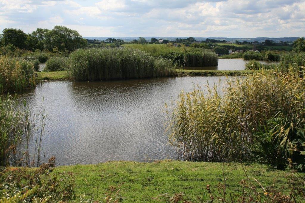 Photo of Outdoor in Shebbear