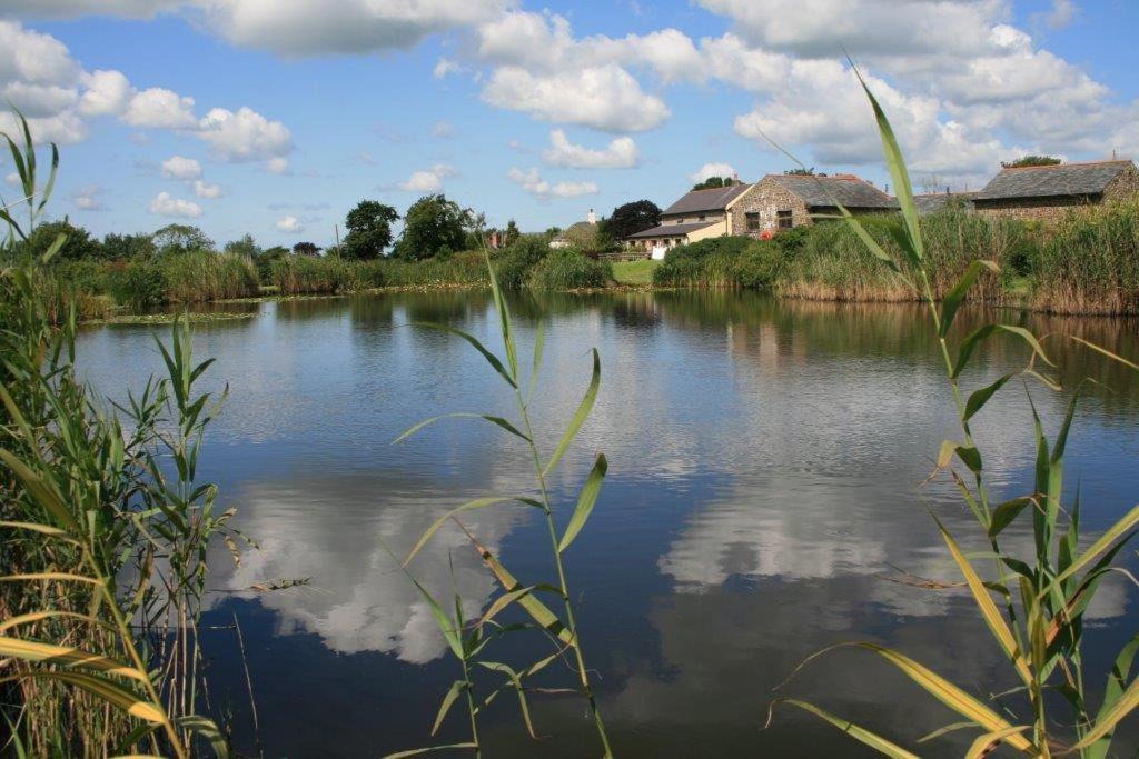 Photo of Outdoor in Shebbear