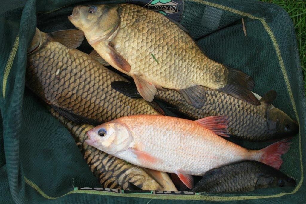 Photo of Livingroom in Shebbear