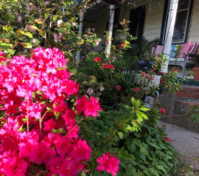 Photo of Buildings in Maldon