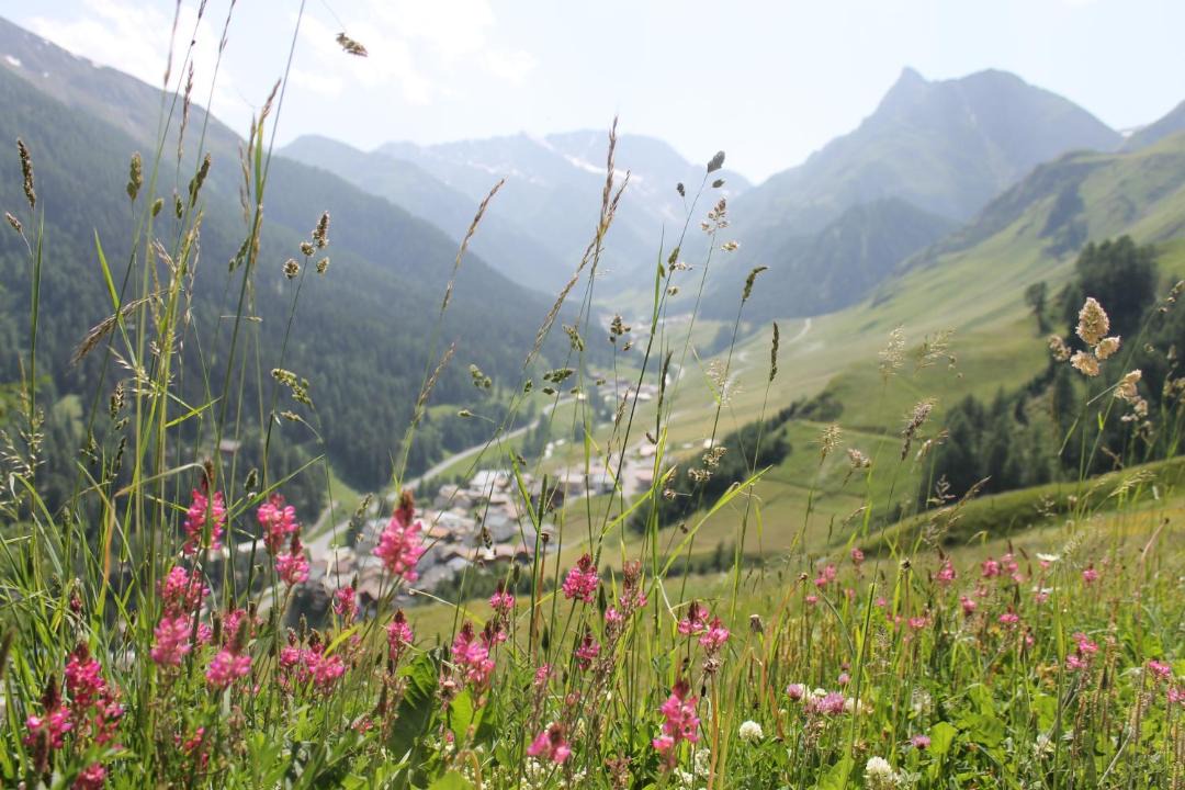 Photo of Others in Ravaisch