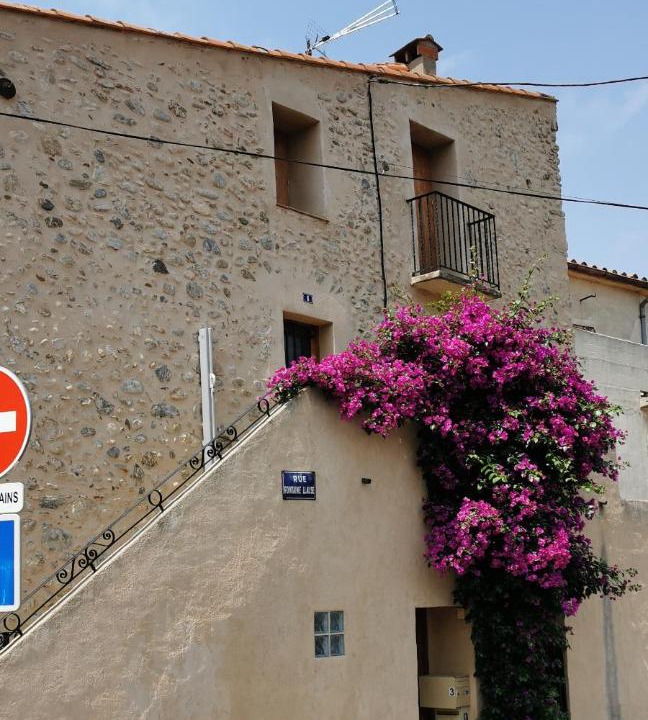 Photo of Buildings in Le Boulou