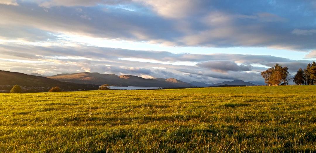 Photo of Others in Dumbarton