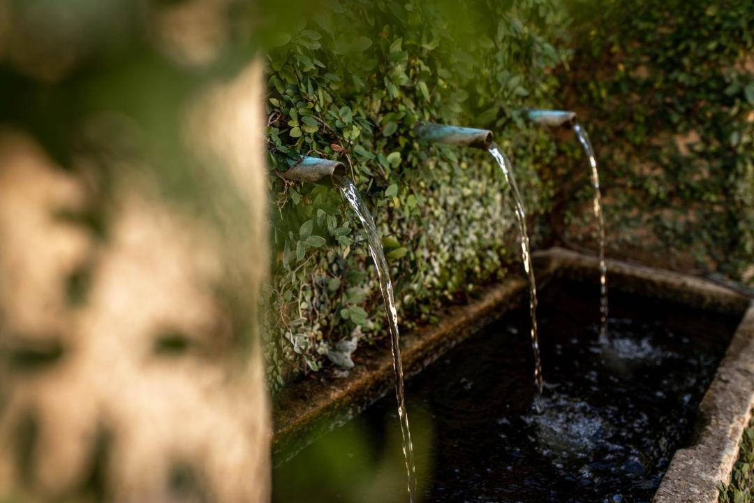 Photo of Others in Sonoma