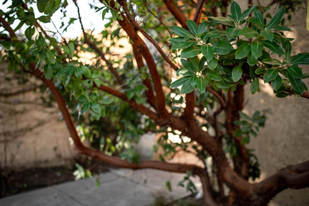 Photo of Others in Sonoma