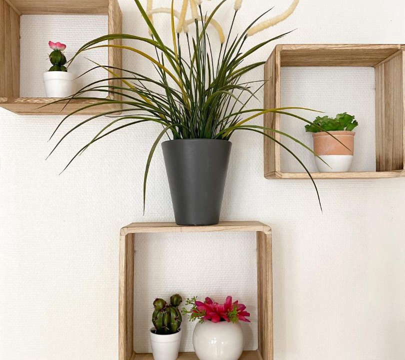 Photo of Others in Centre Ancien