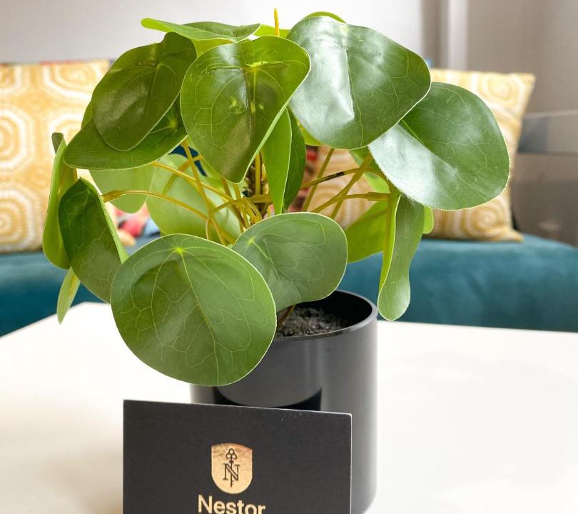 Photo of Others in Centre Ancien