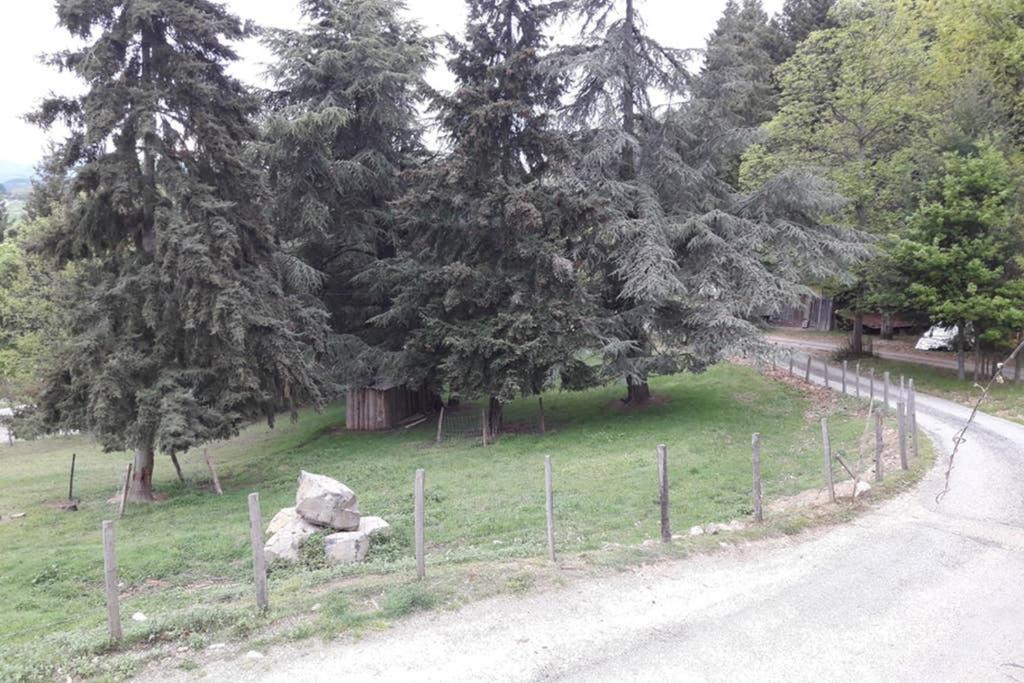 Photo of Others in Vernoux-en-Vivarais