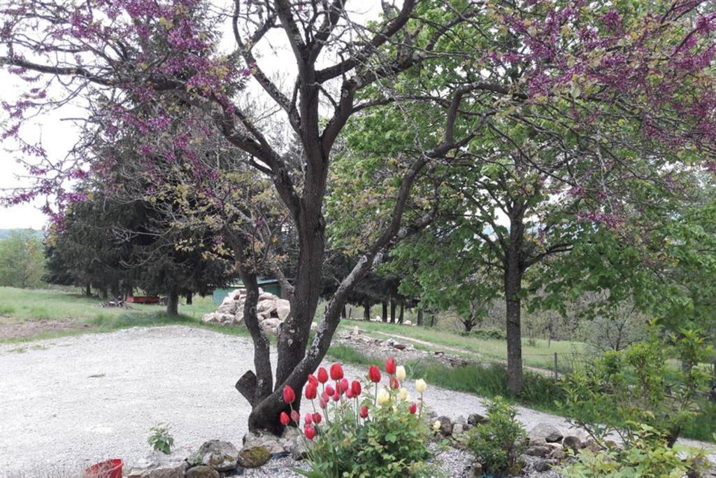 Photo of Others in Vernoux-en-Vivarais