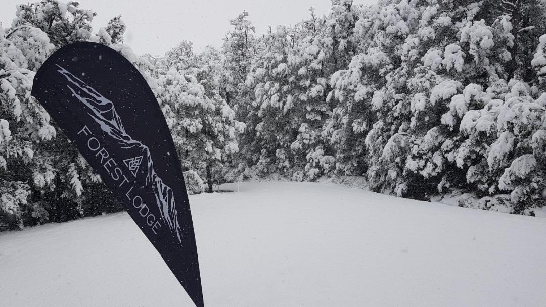 Photo of Others in Castle Hill