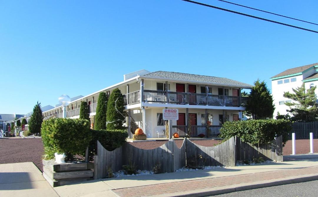 Photo of Others in South Beach Haven