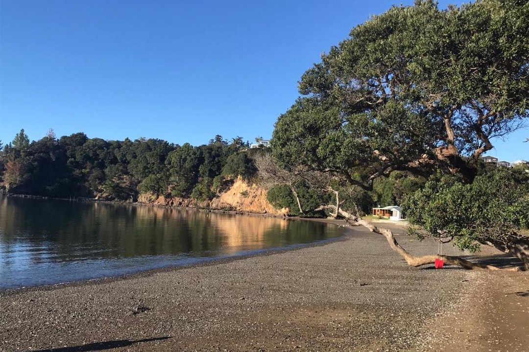 Photo of Others in Tutukaka