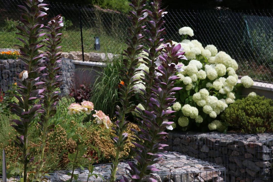 Photo of Others in Saint-Didier-au-Mont-d'Or