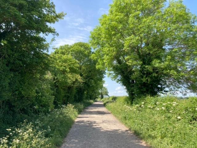 Photo of Others in Didcot