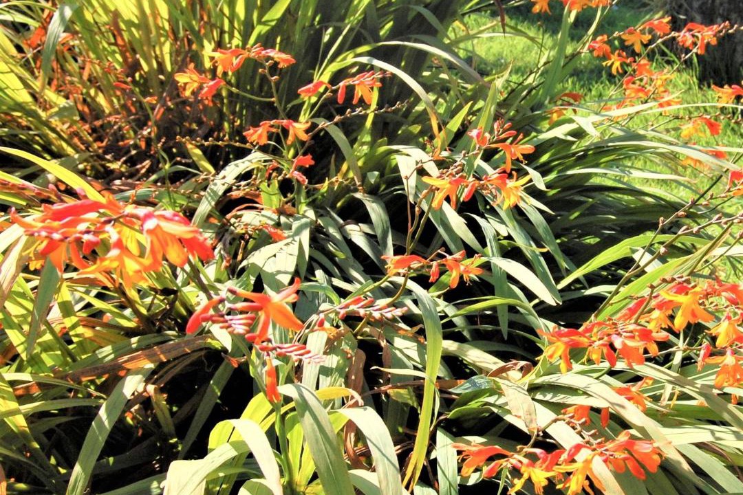 Photo of Others in Suladale