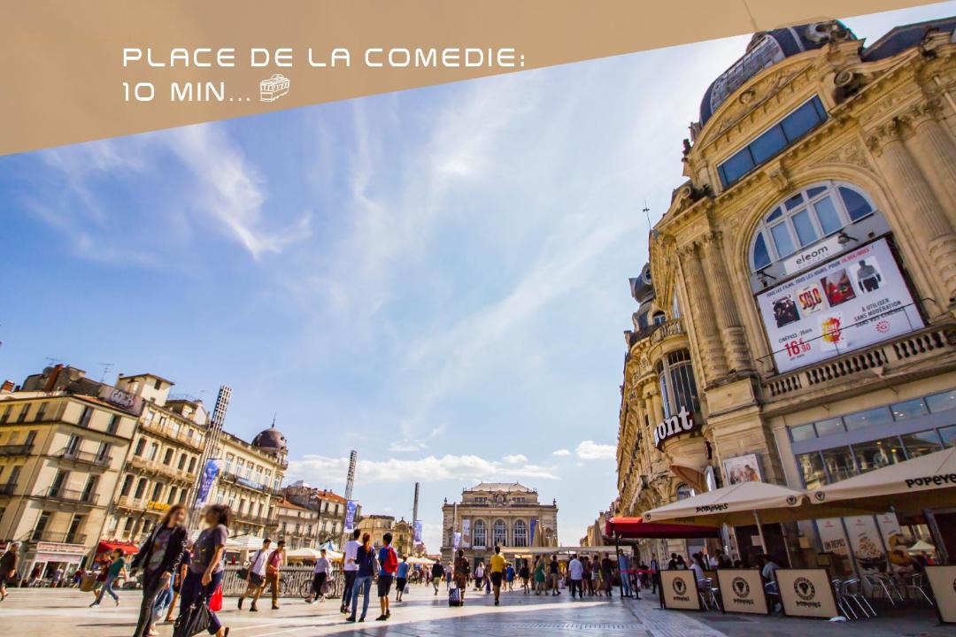 Photo of Others in Castelnau-le-Lez
