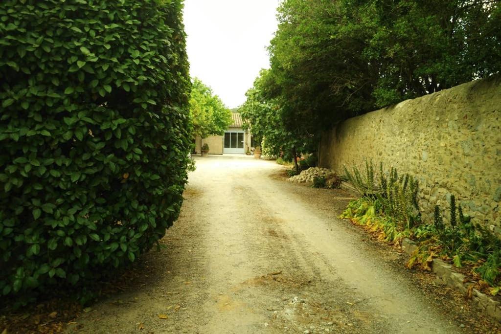 Photo of Others in Moux