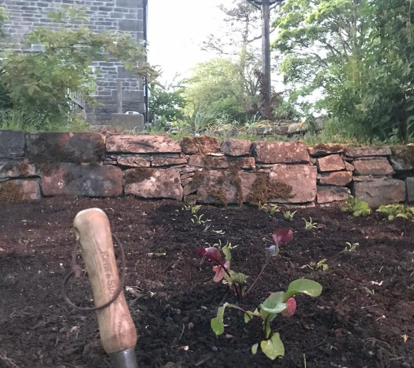 Photo of Others in Longnor