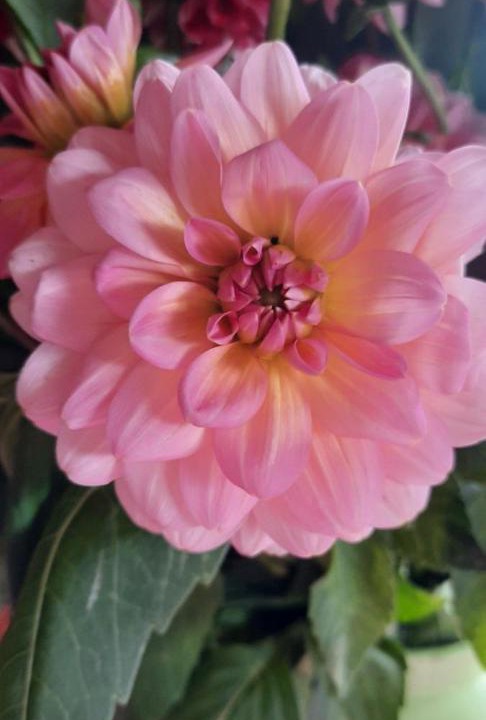 Photo of Others in Saint-Pierre-du-Val