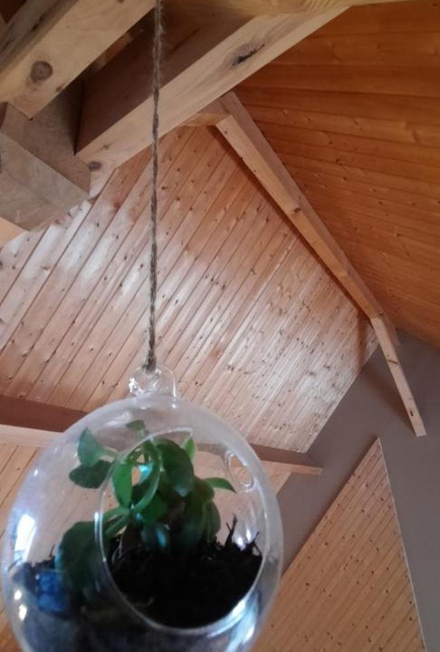 Photo of Others in Saint-Pierre-du-Val