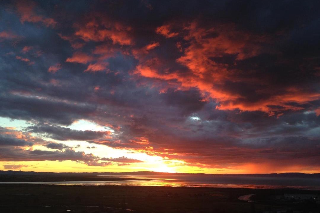 Photo of Others in Thames