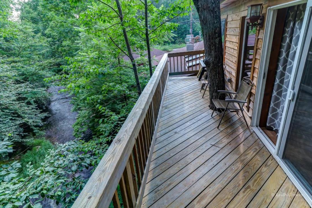 Photo of Others in Canadensis