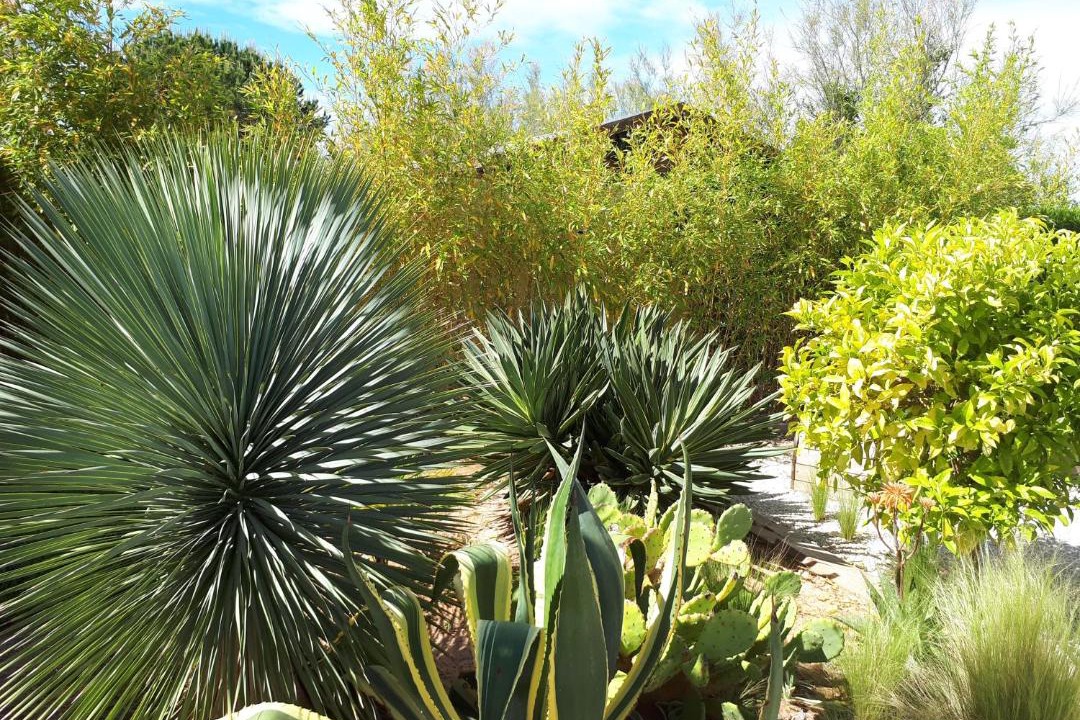 Photo of Outdoor in Aigues-Mortes