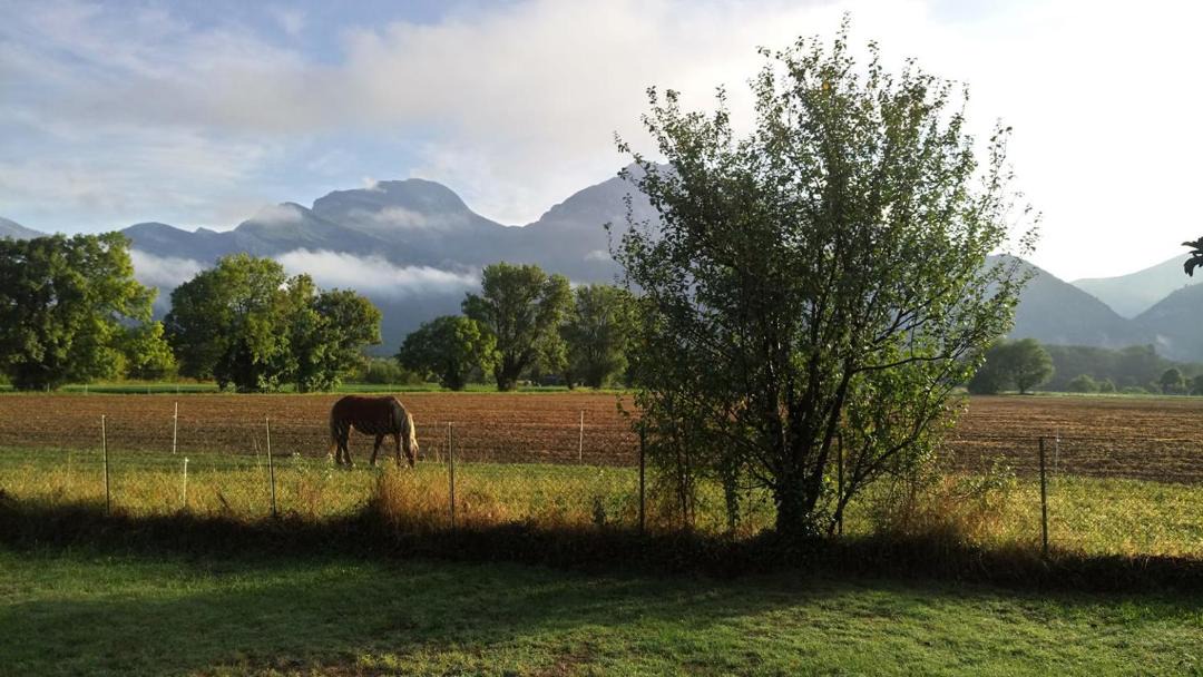 Photo of Others in Noyarey