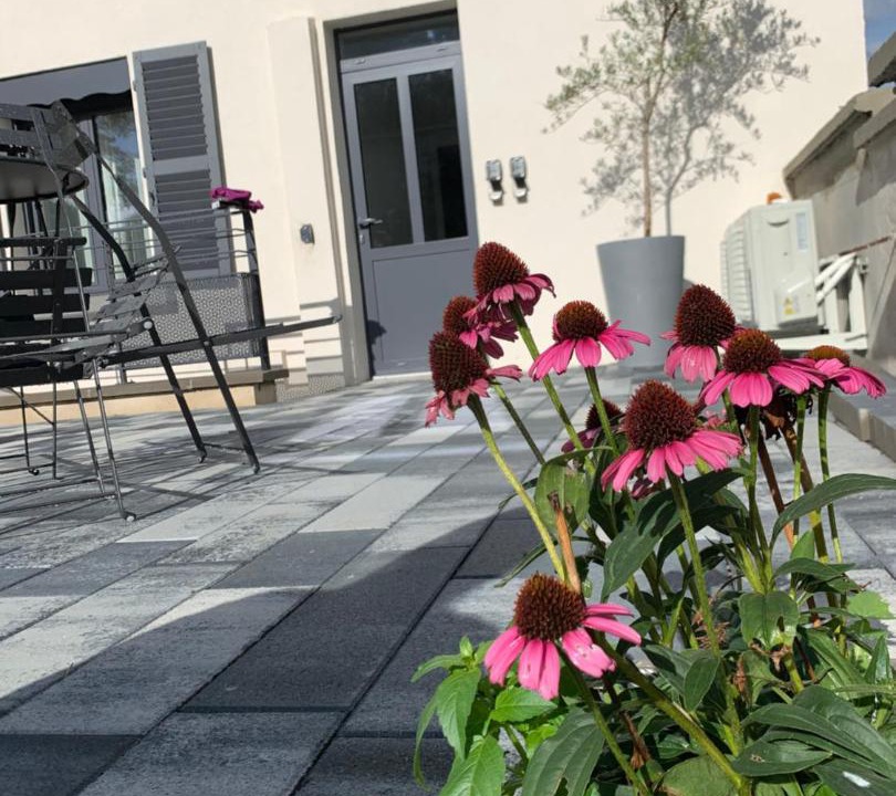 Photo of Others in Vesoul