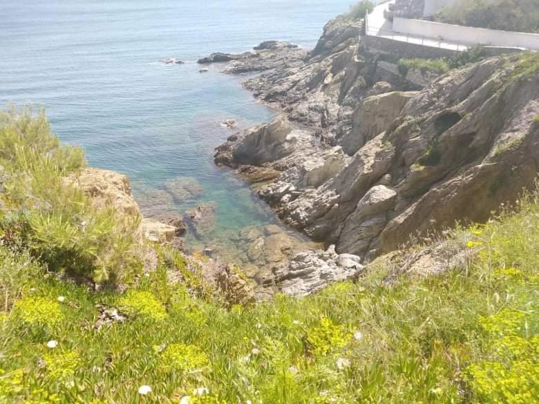 Photo of Others in Tossa de Mar
