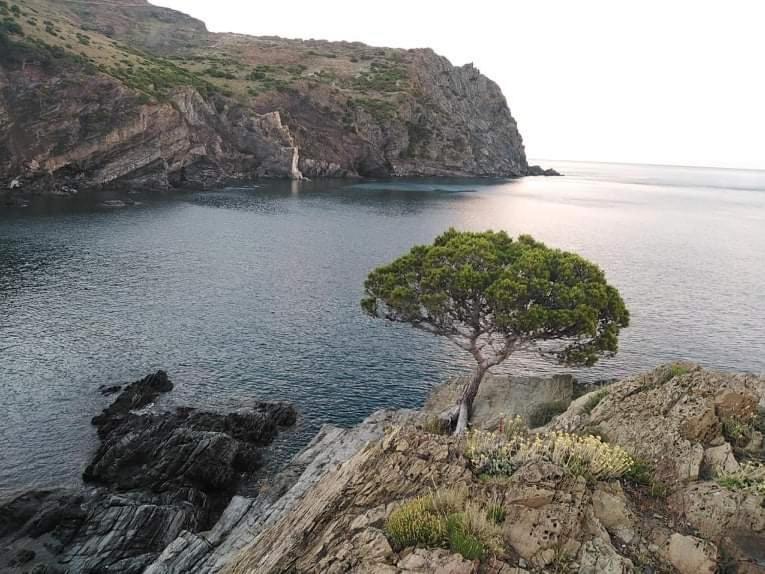 Photo of Others in Tossa de Mar