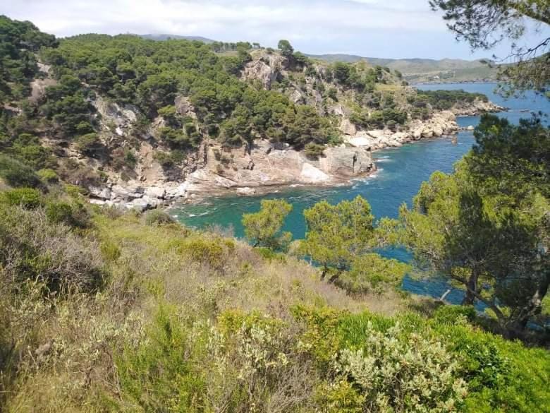 Photo of Others in Tossa de Mar