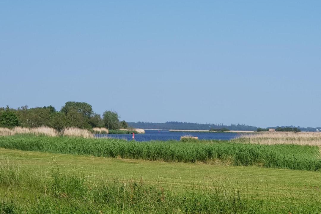 Photo of Others in Randers