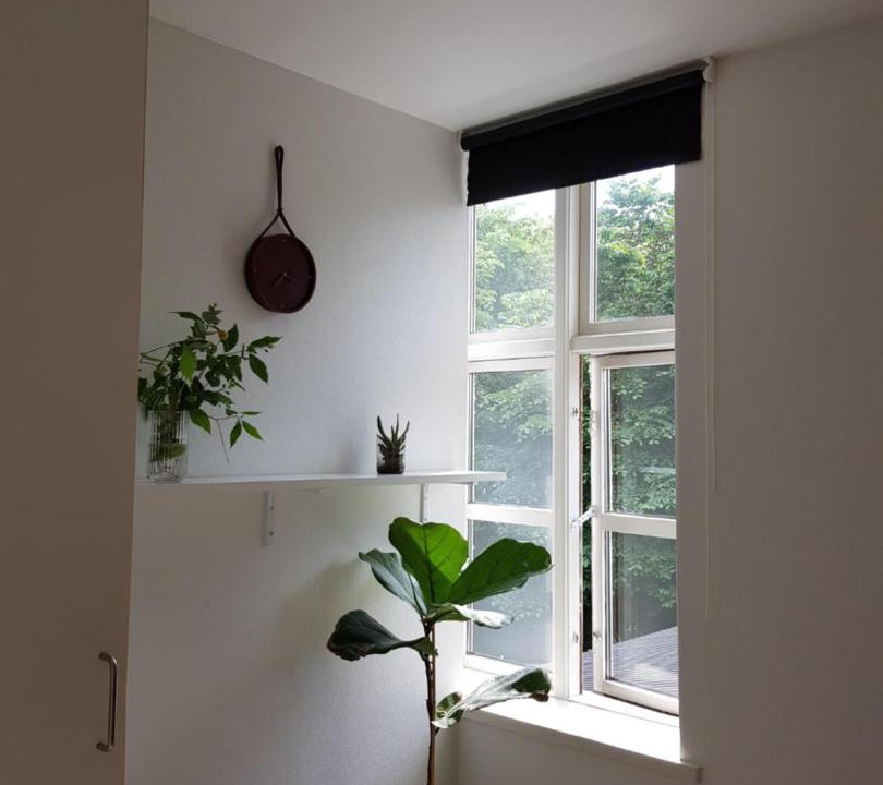 Photo of Others in Randers