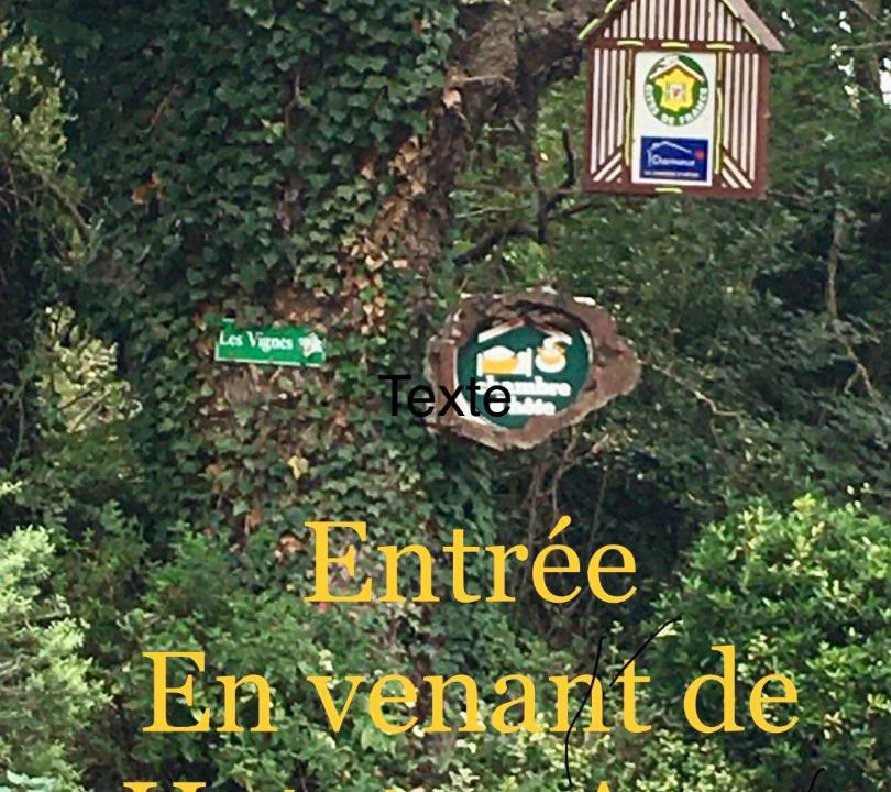 Photo of Others in Brocottes