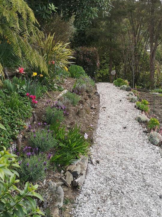 Photo of Others in Havelock