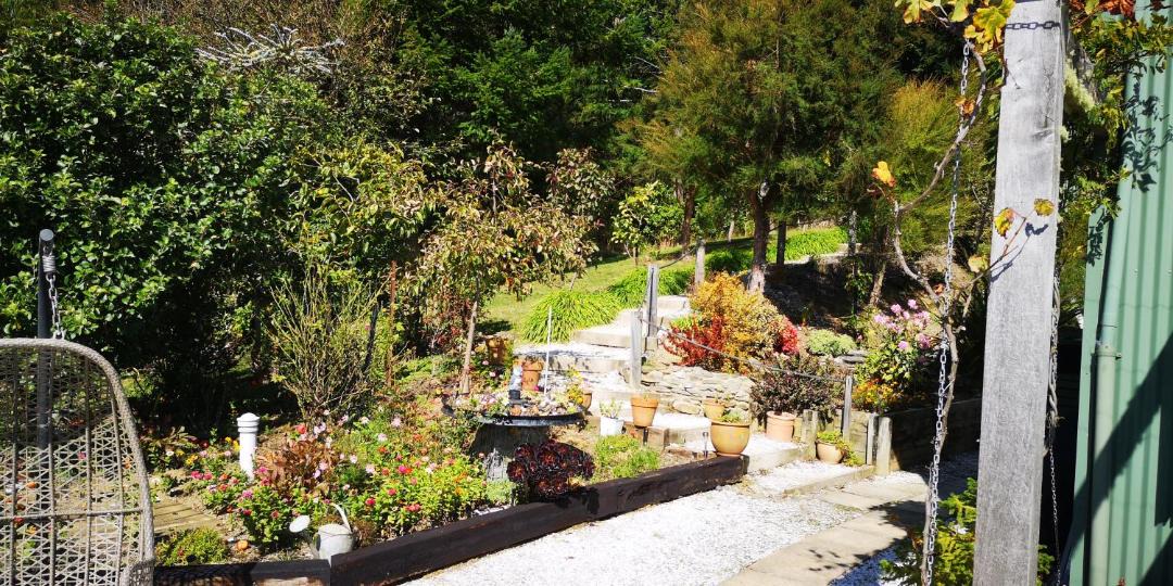 Photo of Others in Havelock