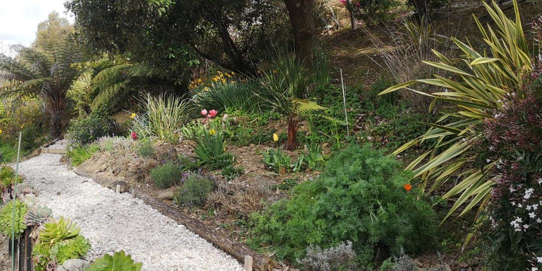 Photo of Others in Havelock