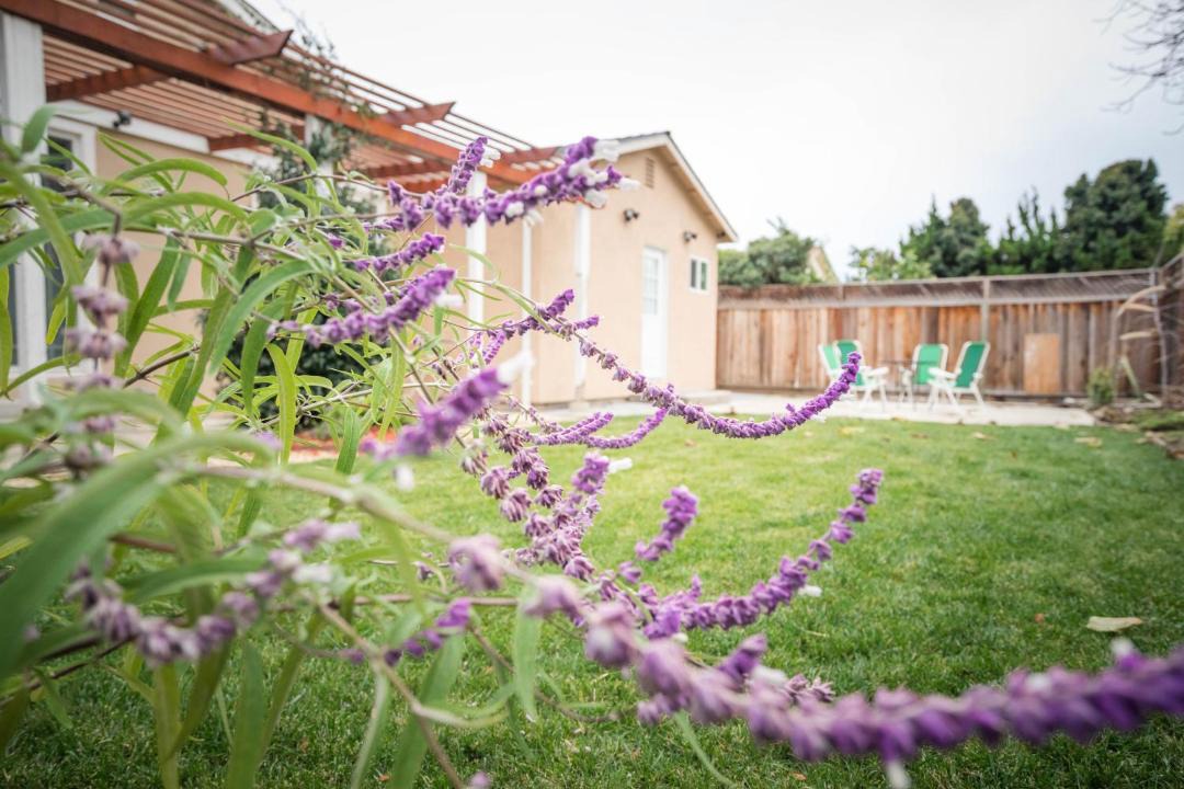 Photo of Others in Berryessa