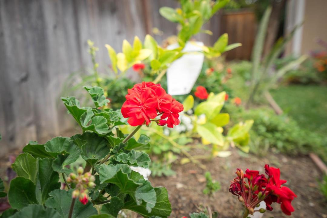 Photo of Others in Berryessa