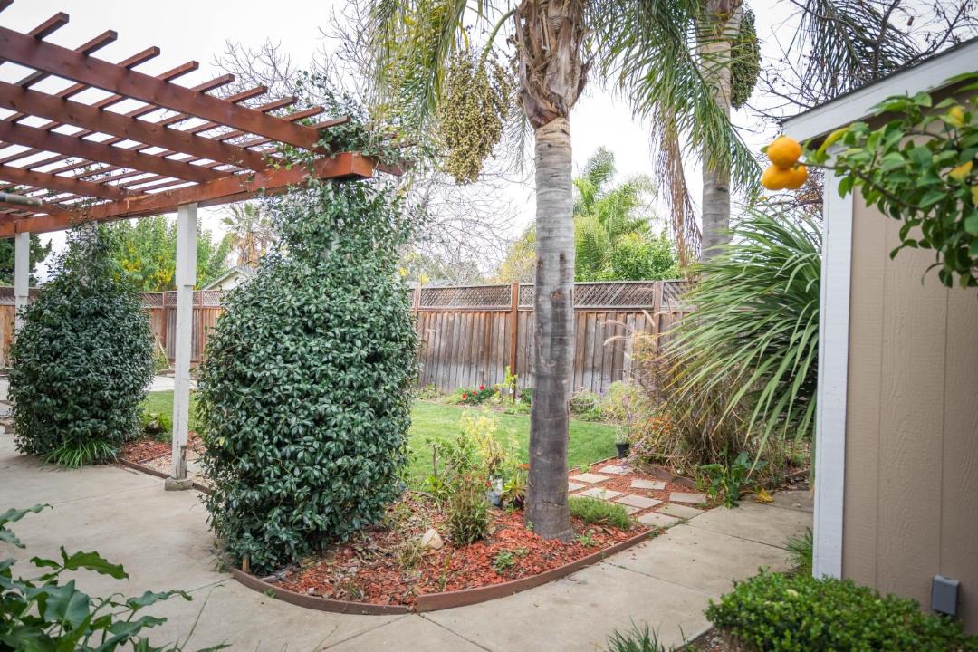 Photo of Others in Berryessa