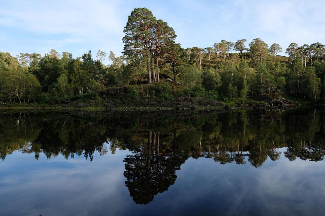 Photo of Others in Beauly