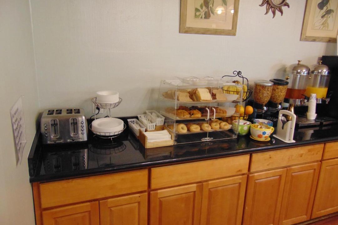 Photo of Others in Cornwall Park