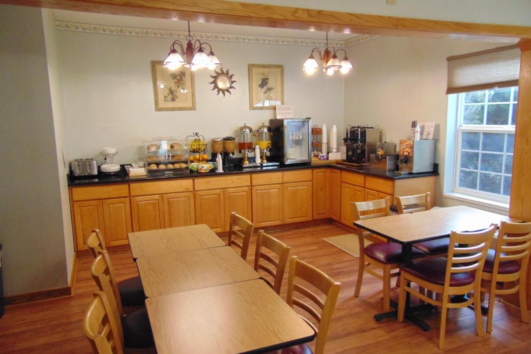 Photo of Others in Cornwall Park